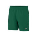Leo Shorts Herren - grün,