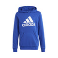 Big Logo Cotton Hoody Jungen - blau, weiß