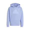 Future Icon Logo Hoody Jungen - hellblau,