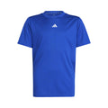 Training Essentials Logo Regular Fit T-Shirt Kinder-blau