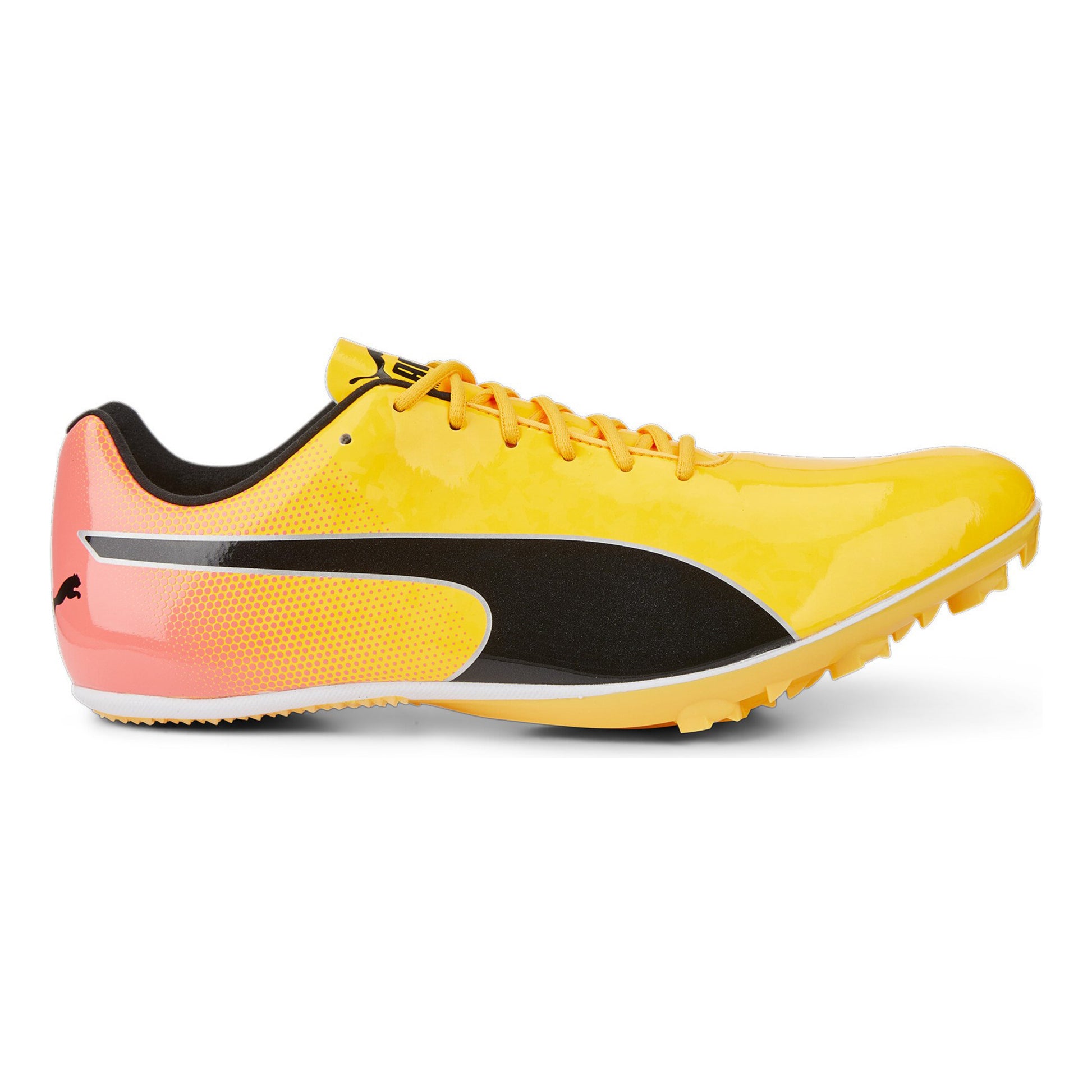 Puma EvoSPEED Sprint 14 Spikeschuh-Gelb,Orange