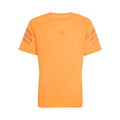 Sport Icons T-Shirt Jungen-orange