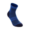 Performance Run Quarter  Laufsocken Unisex-blau