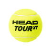 HEAD