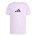 adidas Bekleidung adidas Category Graphic T-Shirt Herren-Lila,Schwarz