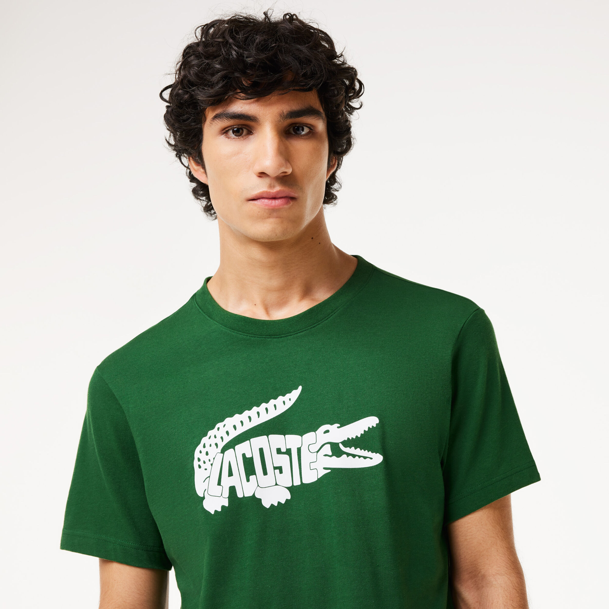 T shirt lacoste homme 2016 on sale