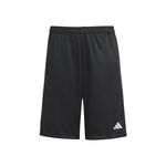 adidas Bekleidung adidas Training Essentials Shorts Kinder - schwarz, 