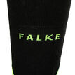 Falke