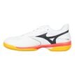 Mizuno