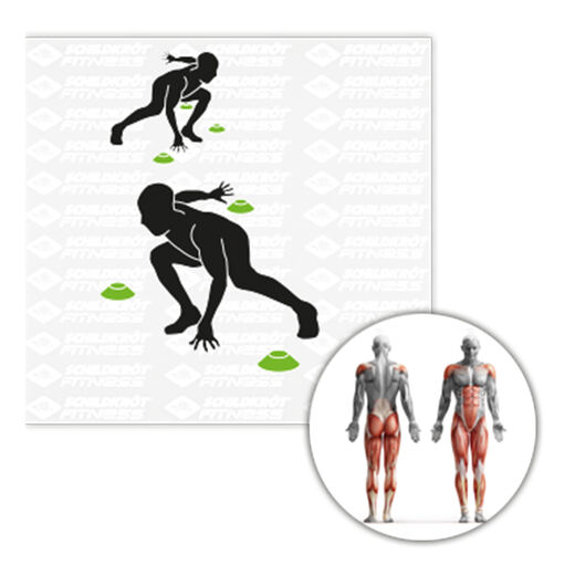 Schildkr&ouml;t Fitness