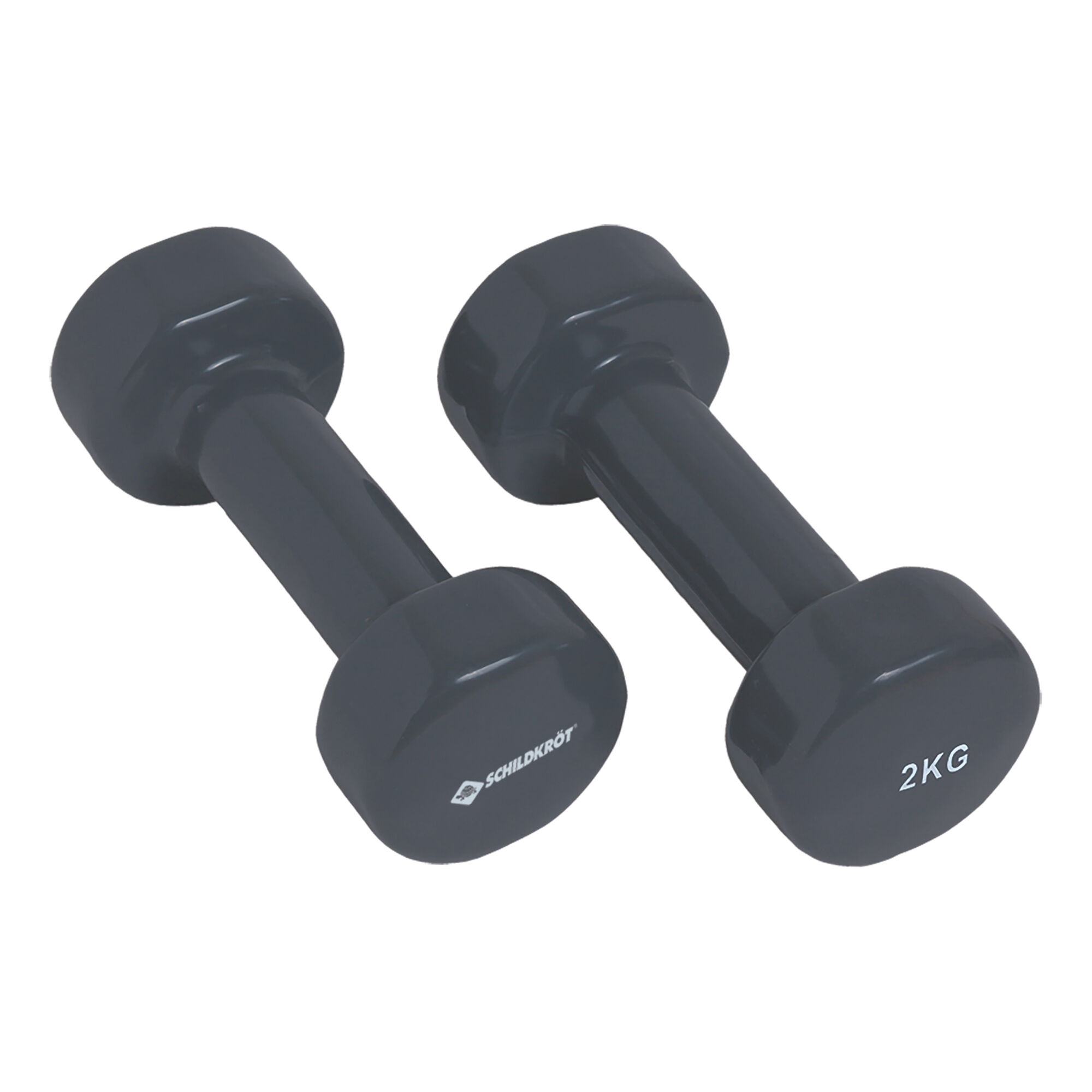 Schildkröt Fitness