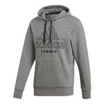 adidas Bekleidung adidas Category Graphic Hoody Herren - grau, dunkelgrau