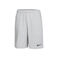 Dri-Fit Shorts