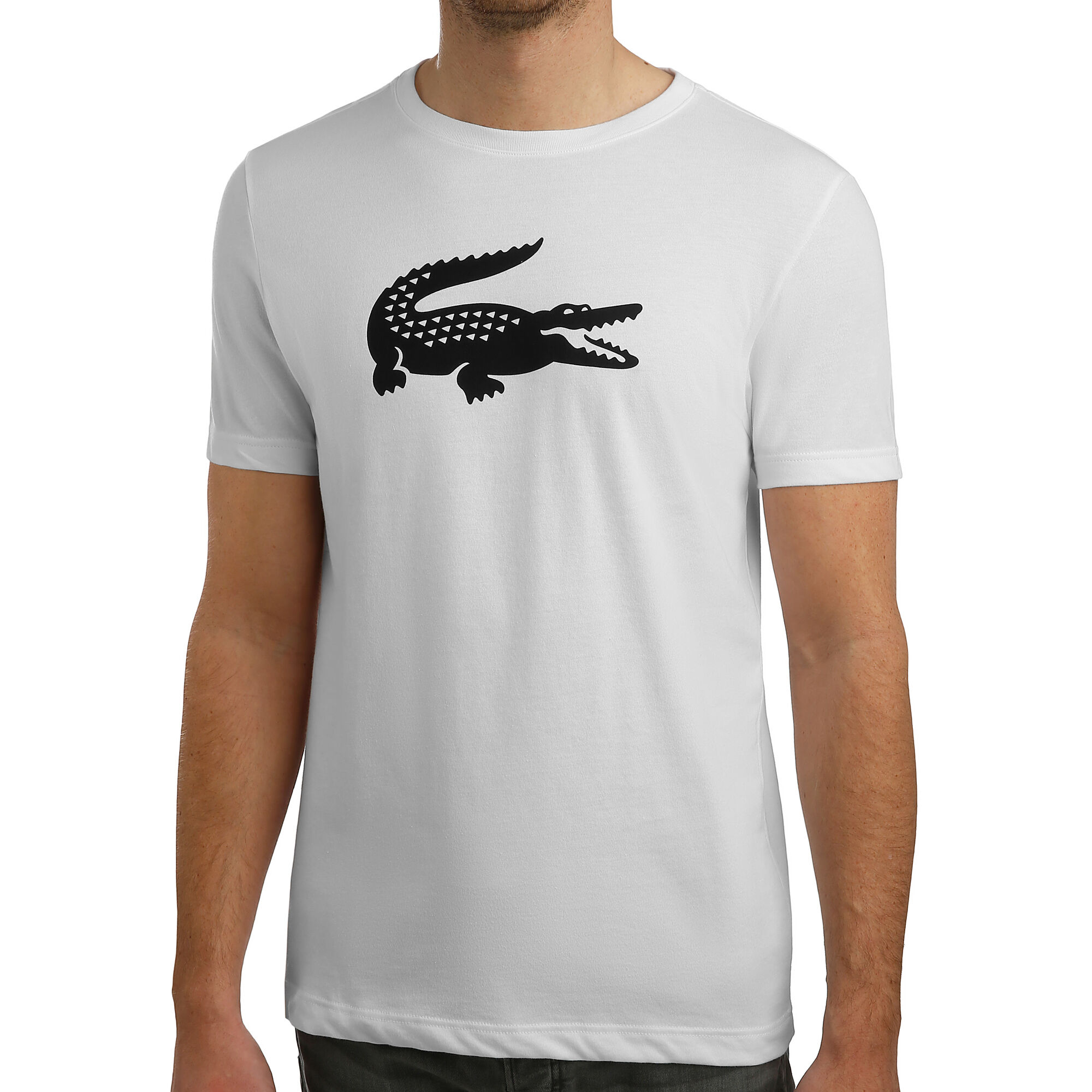 Lacoste Logo T-Shirt Herren Weiß, Schwarz online kaufen | Tennis Point AT