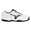 Mizuno