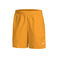 Dri-Fit Shorts