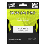 Signum Pro POLARIS 12m