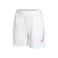 Dri-Fit Graphic Shorts