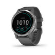 Garmin
