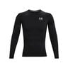 Heatgear Comp Longsleeve Herren-Schwarz,Wei&szlig;