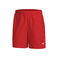 Dri-Fit Shorts