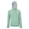 TEAM TERRY HOODIE SAGE Hoody Unisex-salbei