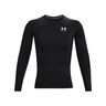 Heatgear Comp Longsleeve Herren-Schwarz,Weiß