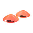 Wilson