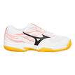 Mizuno