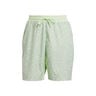 Ergo 7Inch Shorts Herren-hellgr&uuml;n, silber