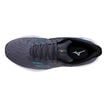 Mizuno