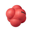 Wilson