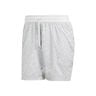 Ergo Pro 7in Shorts Herren-Hellgrau