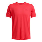 Under Armour Bekleidung Under Armour Vanish Energy T-Shirt Herren-Rot,Rot