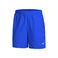 Dri-Fit Shorts