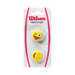 Wilson