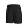 Dri-Fit Shorts