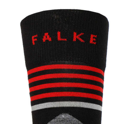 Falke