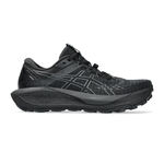 ASICS Laufschuhe ASICS Gel-Trabuco 13 GTX Trailschuh Damen-Schwarz,Hellgrau