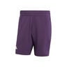 Ergo 7in Shorts Herren-Lila