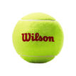 Wilson