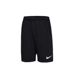 Dri-Fit Shorts