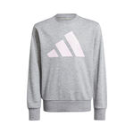 adidas Bekleidung adidas Essentials Sweatshirt Kinder-Grau,Weiß