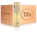 HEAD Innendruckball HEAD Tour Swiss Official 4er Dose 