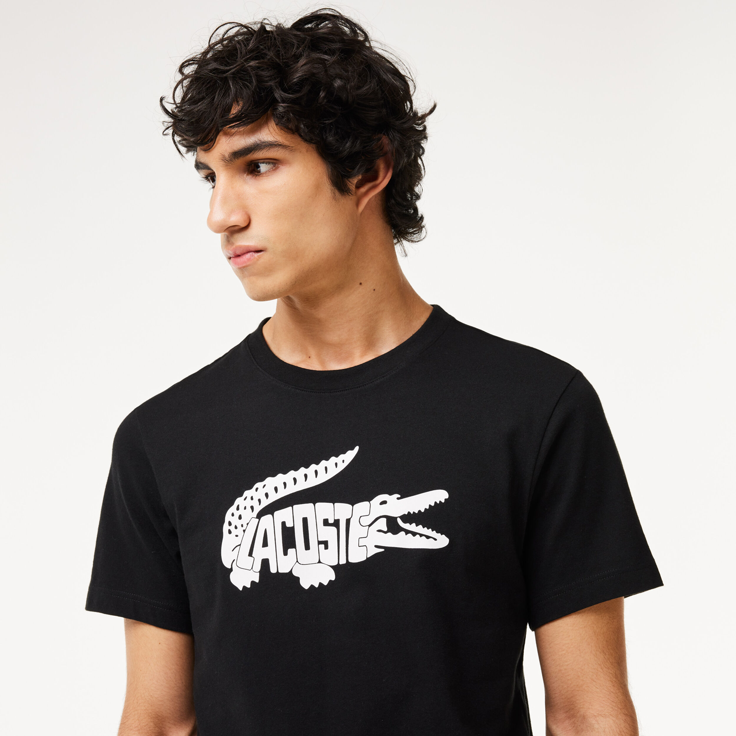 Lacoste T Shirt Herren Schwarz WeiB online kaufen Tennis Point AT